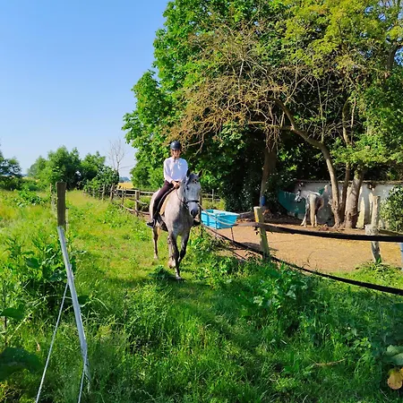 公寓 Gutshaus Im Gruenen *