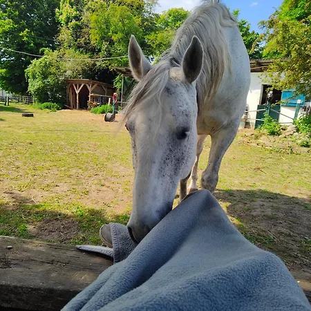 Gutshaus Im Gruenen *